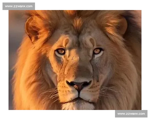 远古恐龙对决现代狮子跨越时空的力量与生存之战谁才是真正王者